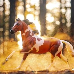 Meet your Posher, kitty_woo